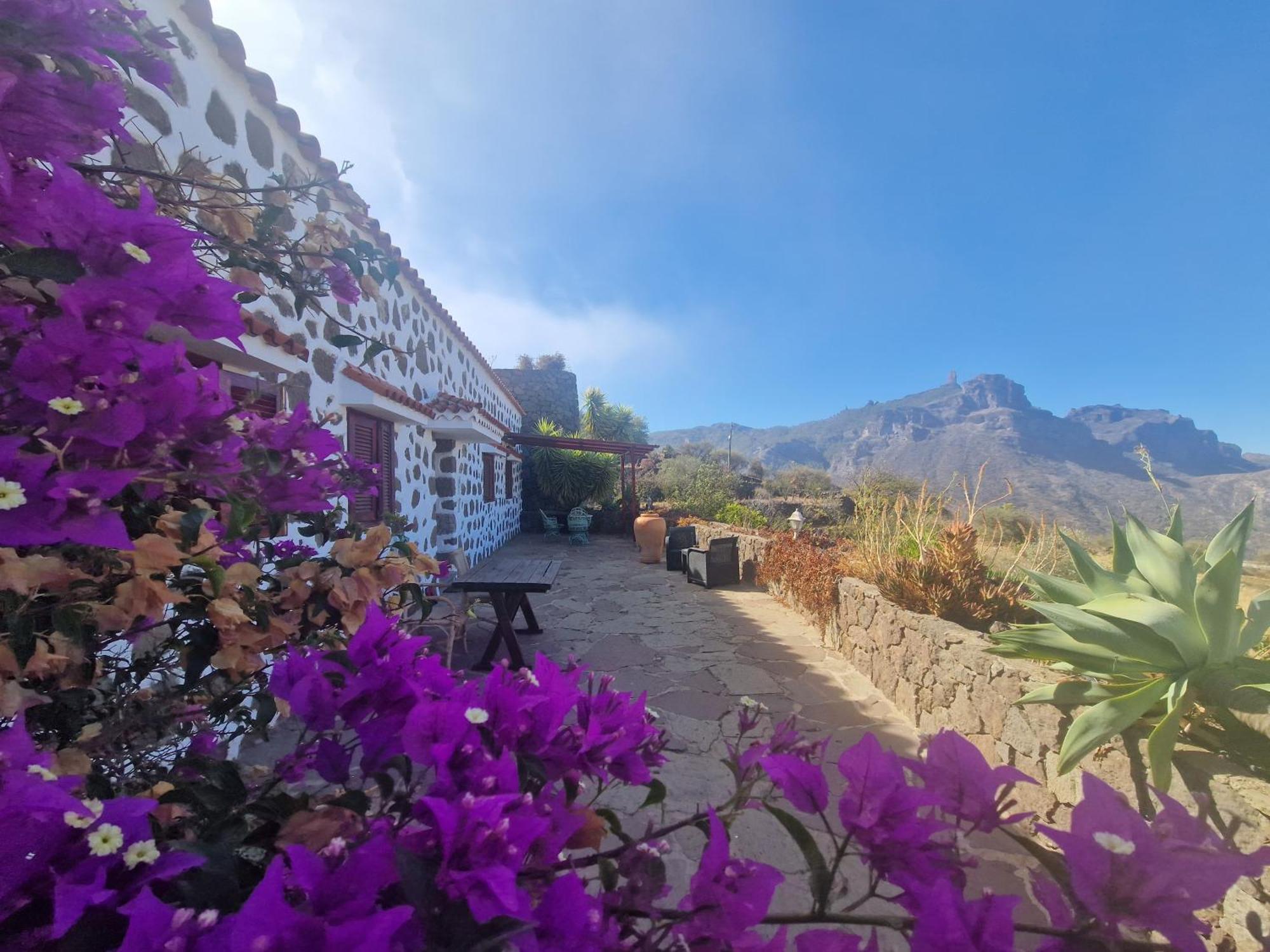 Mountain La Isa By Rose Tejeda (Gran Canaria)