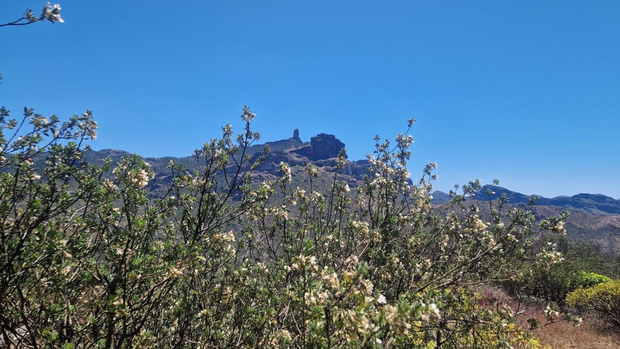 Mountain La Isa By Rose Tejeda (Gran Canaria)