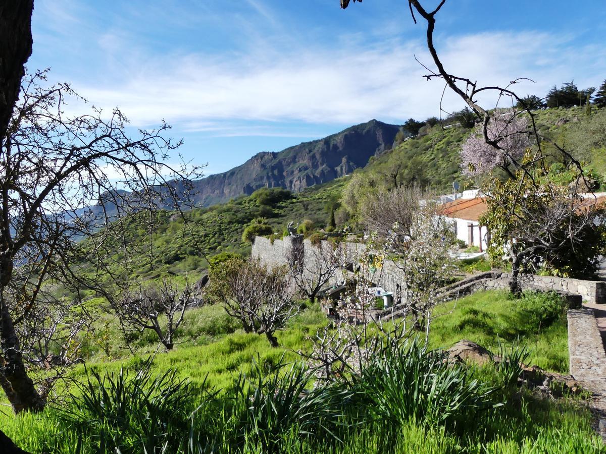 Mountain Hostel&house La Isa By Rose * Tejeda (Gran Canaria)
