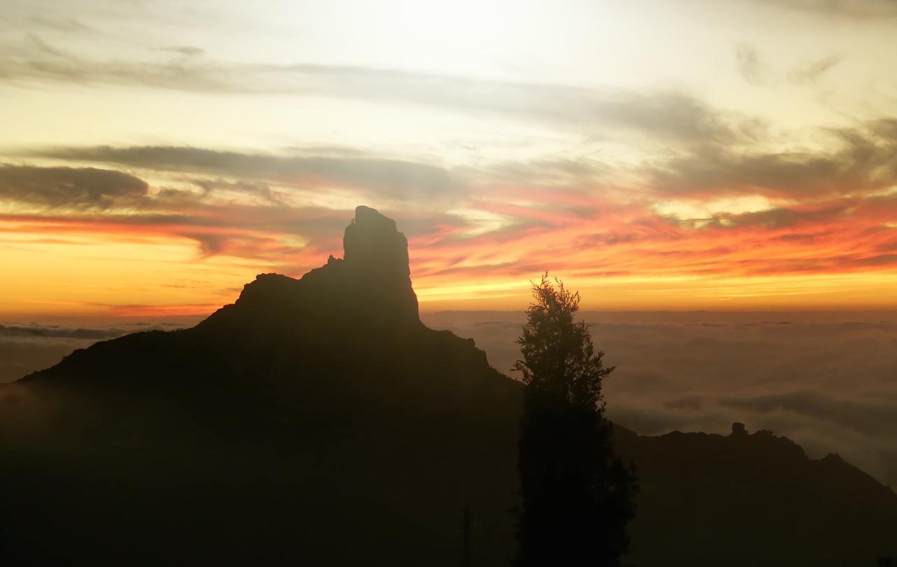Mountain Hostel&house La Isa By Rose Tejeda (Gran Canaria)