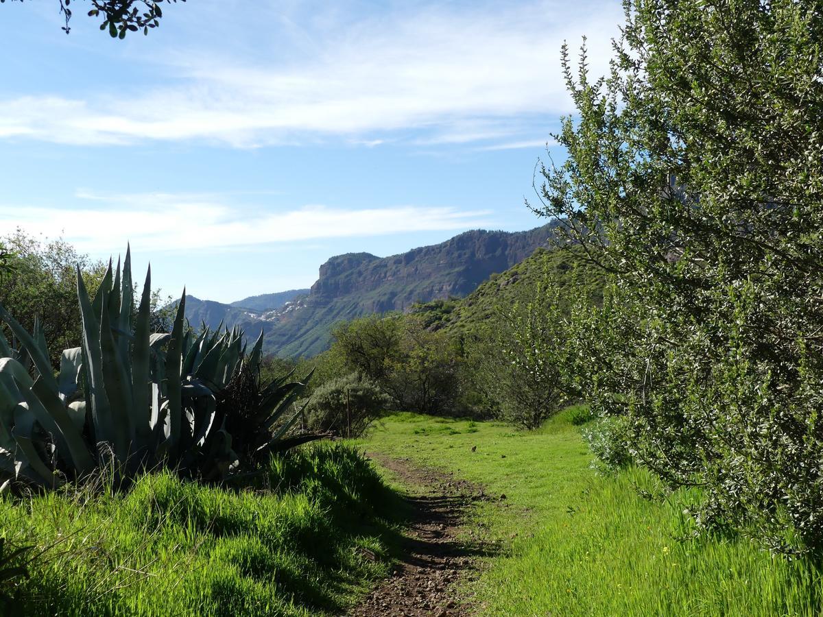 Mountain Hostel&house La Isa By Rose Tejeda (Gran Canaria)