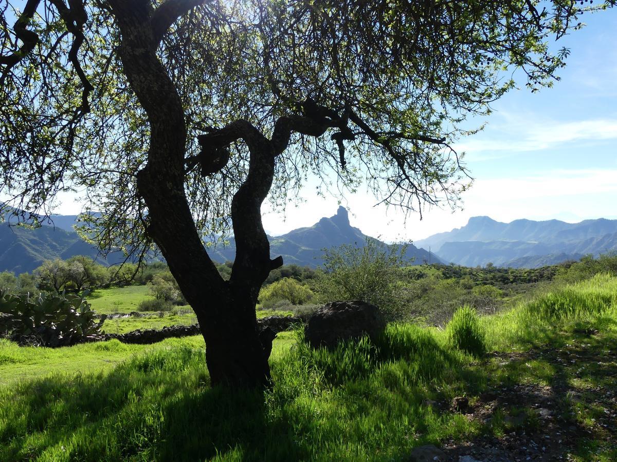 Mountain La Isa By Rose Hostel
