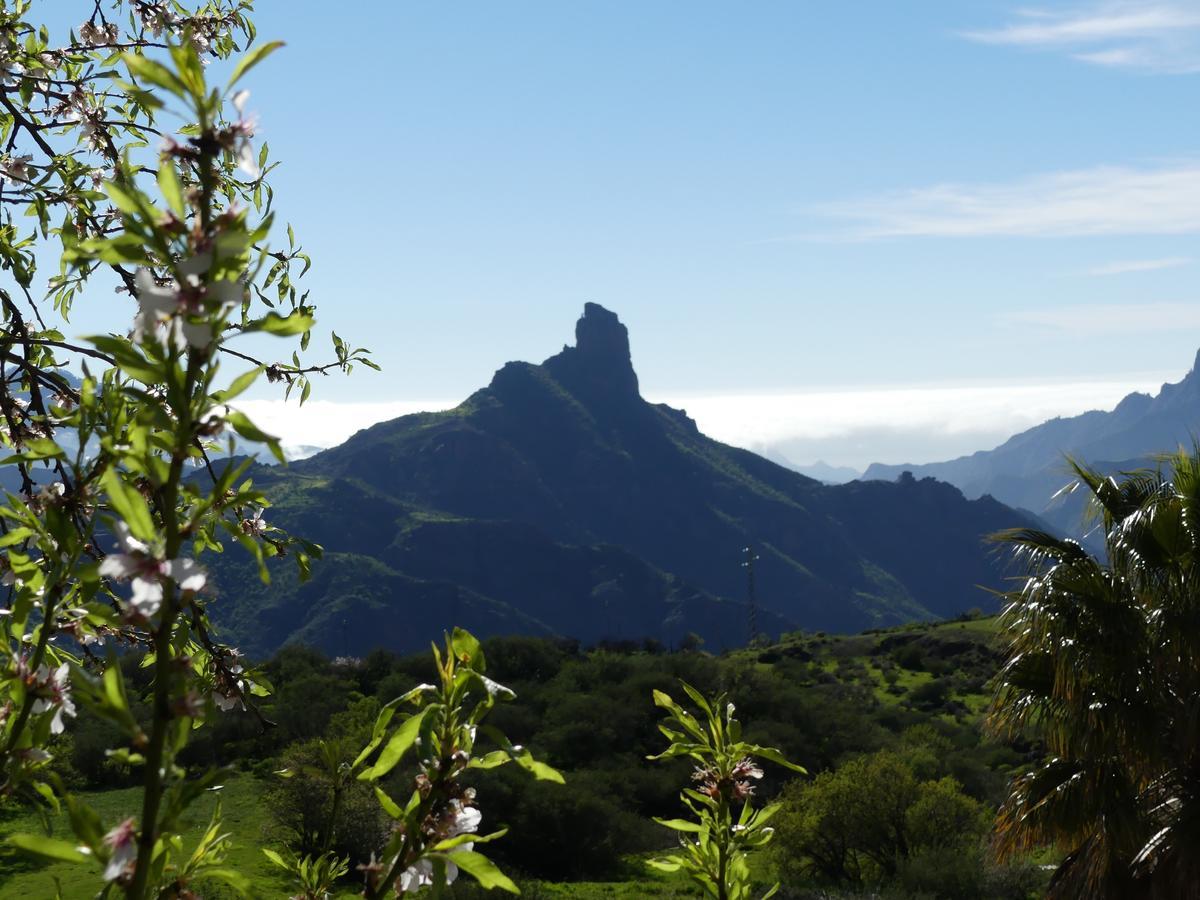 Hostel Mountain La Isa By Rose Tejeda (Gran Canaria)