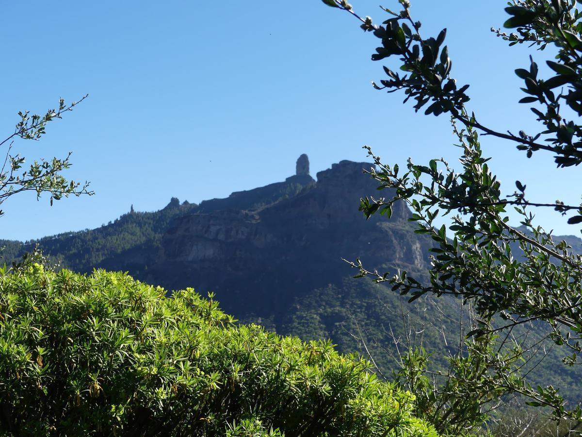 Mountain La Isa By Rose Hostel Tejeda (Gran Canaria)